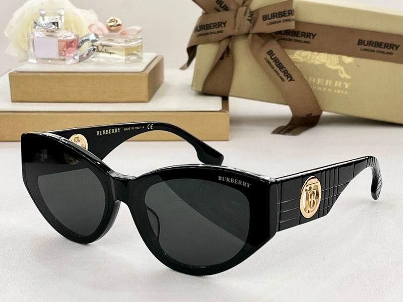 Burberry Sunglasses 309